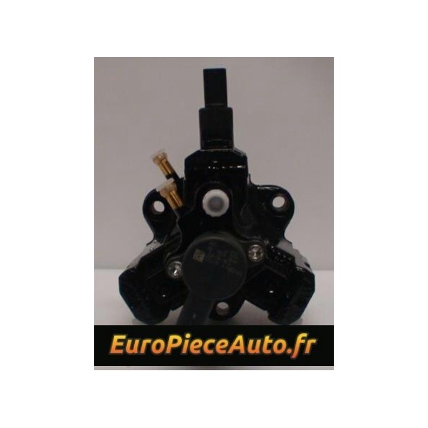 Pompe injection Bosch 0445010282/162/010 Echange Reparation