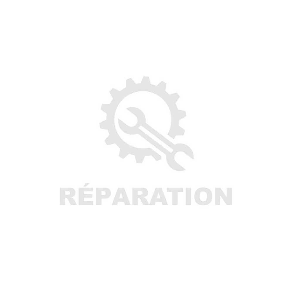 Reparation pompe injection Denso 096500-201#