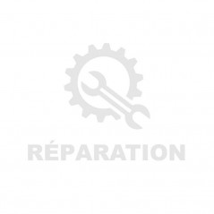 Reparation pompe injection Denso 096500-020#